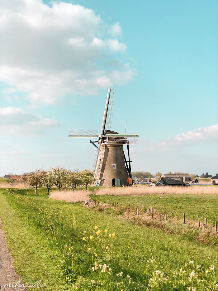 荷蘭, 荷蘭小孩堤防, 荷蘭風車, 荷蘭自由行