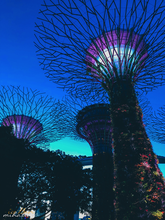 濱海灣花園,冷室,新加坡景點,新加坡好玩,新加坡自由行,新加坡燈光秀,雲霧林花穹