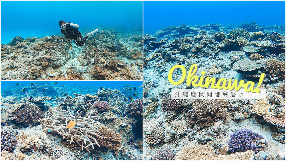 沖繩自由行,沖繩潛水,慶良間潛水,沖繩好玩,沖繩景點