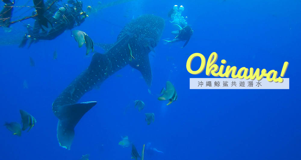 沖繩自由行,沖繩潛水,沖繩好玩,沖繩景點,沖繩鯨鯊