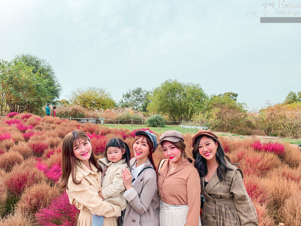 天空公園,首爾自由行,粉紅波波草,粉紅掃帚草,粉紅芒草,首爾景點,首爾好玩