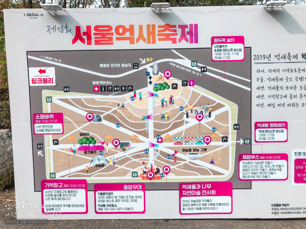 天空公園,首爾自由行,粉紅波波草,粉紅掃帚草,粉紅芒草,首爾景點,首爾好玩